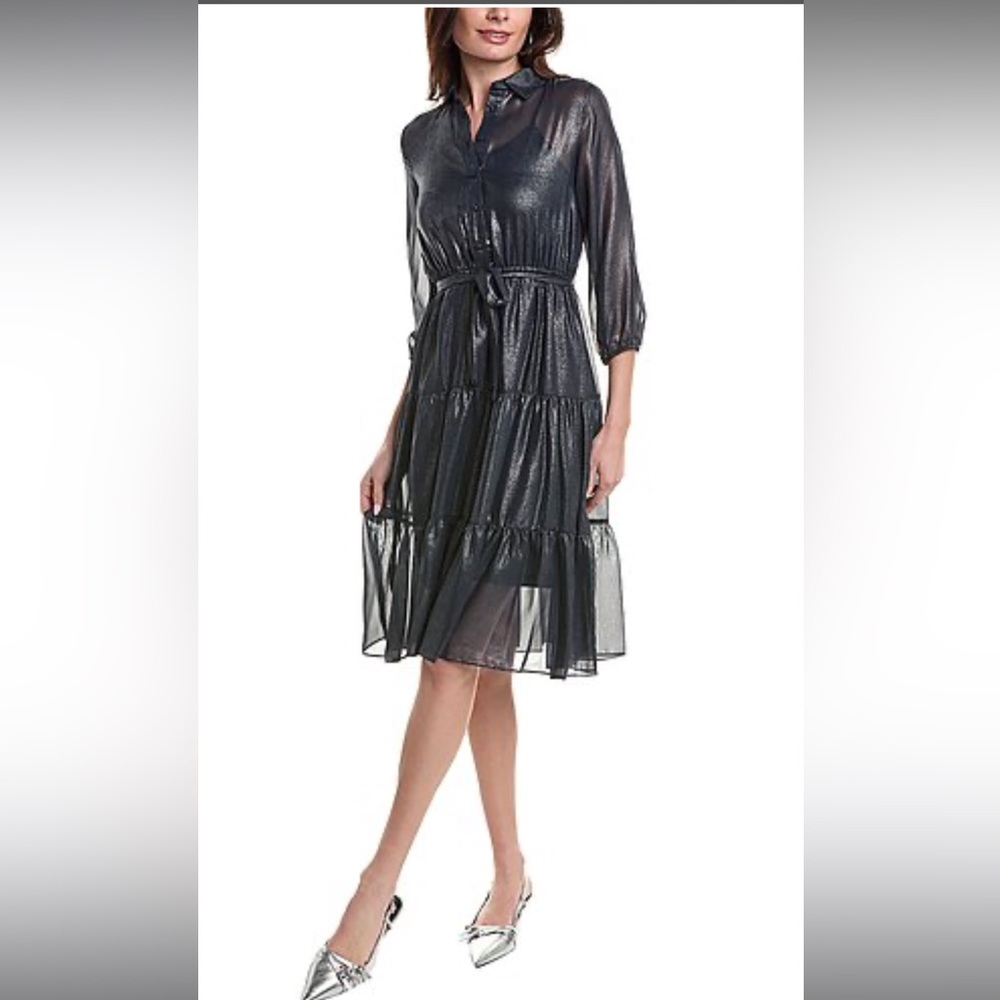 Elegant Black Sheer Dress